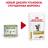 Royal Canin Urinary S/O Feline влажный корм для кошек с мочекаменной болезнью