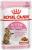 Royal Canin Kitten Sterilised влажный корм для стерилизованных котят от 6 до 12 месяцев в соусе