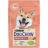 Dog Chow Sensetive сухой корм для собак с чувствительной кожей и пищеварением c лососем и рисом