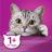 Whiskas влажный корм для кошек, мясная коллекция, говядина в желе