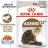 Royal Canin Ageing+12 влажный корм для кошек старше 12 лет в желе