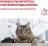 Royal Canin Urinary лечебный корм для кошек для профилактики мочекаменной болезни