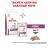 Royal Canin корм для взрослых собак всех пород с хронической болезнью почек