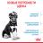 Royal Canin Maxi Puppy сухой корм для щенков крупных пород
