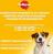 Pedigree сухой корм для щенков всех пород с курицей и рисом