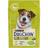 Dog Chow Adult сухой корм для собак мелких пород с курицей