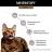 Мираторг Meat корм для кошек, с сочным ягненком