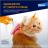 Elanco Адвокат капли для котят и кошек 4-8 кг, от клещей и блох