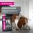 Eukanuba влажный корм для взрослых собак всех пород, ягненок в соусе