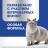 Perfect Fit Oral Care лакомство для кошек, для поддержания здоровья зубов и полости рта, с курицей и добавлением мяты
