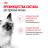 Royal Canin Kitten Instinctive влажный корм для котят от 4 до 12 месяцев в соусе