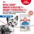Royal Canin Indoor влажный корм для стерилизованных пожилых кошек, кусочки в соусе
