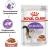 Royal Canin влажный корм для стерилизованных взрослых кошек всех пород, кусочки в соусе