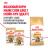 Royal Canin Maine Coon Adult сухой корм для крупных кошек породы мейн-кун