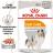 Royal Canin Coat Care влажный корм для взрослых собак всех пород с чувствительной кожей и шерстью, паштет