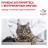 Royal Canin Diabetic влажный корм для кошек при сахарном диабете