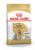 Royal Canin Yorkshire Terrier сухой корм для собак породы йоркширский терьер старше 10 месяцев