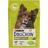Dog Chow Adult сухой корм для собак с ягненком и рисом