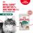 Royal Canin влажный корм для пожилых кошек всех пород, мелкие кусочки в соусе