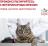 Royal Canin корм для взрослых кошек всех пород при заболевании мочевыделительной системы
