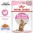 Royal Canin Kitten Sterilised влажный корм для котят до 12 месяцев в желе