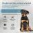 Brit Care Dog Puppy&Junior L Healthy Growth корм для щенков, индейка с ягненком