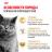 Royal Canin British Shorthair Adult сухой корм для кошек британской короткошерстной породы старше 12 месяцев