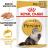 Royal Canin Persian влажный корм для персидских кошек, паштет