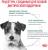 Royal Canin корм для взрослых собак малых пород, с избыточным весом