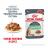 Royal Canin Digestive Care влажный корм для кошек, кусочки в соусе