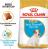 Royal Canin Jack Russell Terrier Junior сухой корм для щенков породы джек рассел терьер