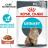 Royal Canin Urinary Care влажный корм для кошек для профилактики мочекаменной болезни в соусе