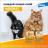 Elanco Адвокат капли для котят и кошек 4-8 кг, от клещей и блох