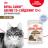 Royal Canin влажный корм для пожилых (12+) кошек, здоровье суставов, почек, мелкие кусочки в желе