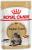 Royal Canin влажный корм для взрослых кошек породы Мэйн Кун, в соусе  