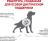 Royal Canin Early Cardiac лечебный корм для собак при сердечной недостаточности