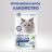 Perfect Fit Oral Care лакомство для кошек, для поддержания здоровья зубов и полости рта, с курицей и добавлением мяты