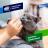 Elanco Дронтал таблетки для кошек и котят, антигельминтик