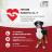 Сухой корм Purina ONE® для взрослых собак средних и крупных пород, с высоким содержанием говядины и с рисом