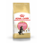 Royal Canin Kitten Maine Coon сухой корм для котят породы мейн-кун