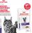 Royal Canin Neutered Maintenance влажный корм для стерилизованных кошек, мелкие кусочки в соусе