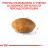 Royal Canin Persian Adult сухой корм для персидских кошек