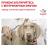 Royal Canin Gastro Intestinal консервы для собак при нарушениях пищеварения