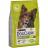 Dog Chow Adult сухой корм для собак с ягненком и рисом