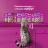 Whiskas влажный корм для взрослых кошек, паштет с форелью