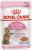 Royal Canin Kitten Sterilised влажный корм для котят до 12 месяцев в желе