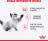 Royal Canin влажный корм для стерилизованных котят, кусочки в соусе