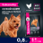 Eukanuba сухой корм для собак мелких пород с курицей