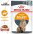 Royal Canin Intense Beauty влажный корм для кошек для поддержания красоты шерсти в соусе