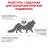 Royal Canin сухой корм для стерилизованных кошек, при проблемах с кожей